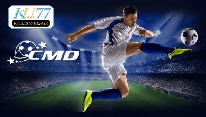 Tổng quan chung thông tin về sảnh thể thao Cmd Sports